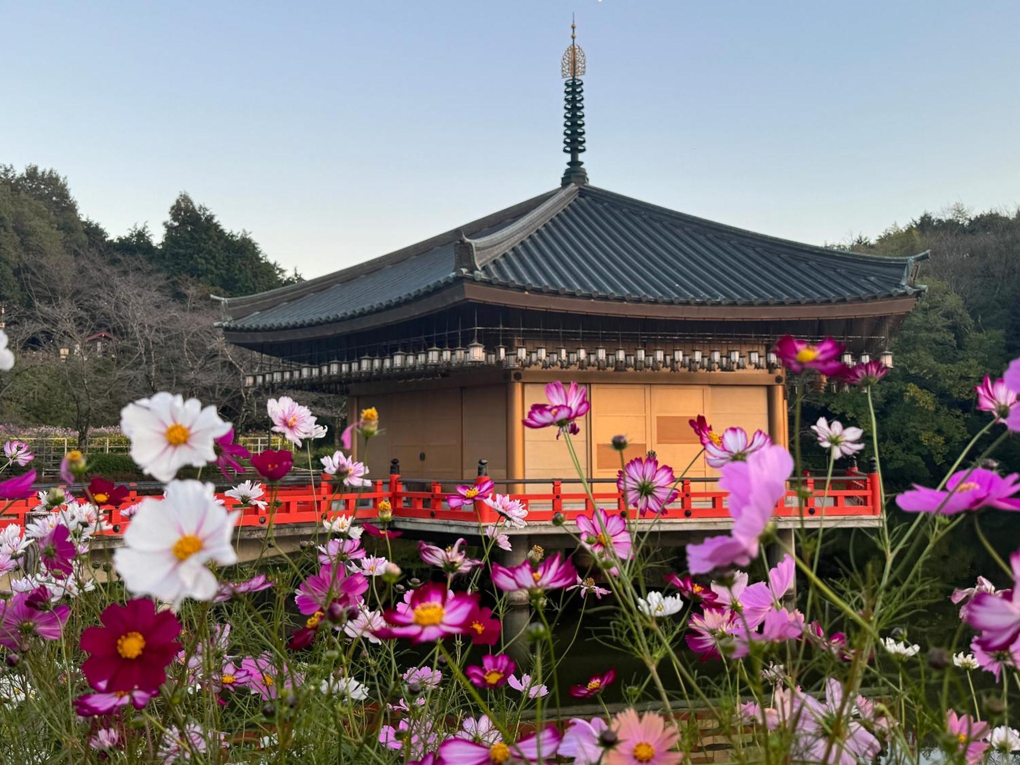Grand Mercure Nara Kashihara Kashihara  Exterior foto